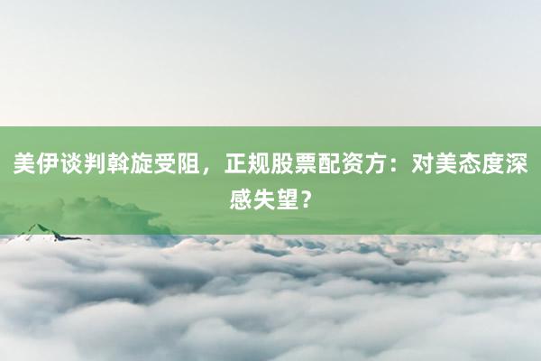 美伊谈判斡旋受阻，正规股票配资方：对美态度深感失望？