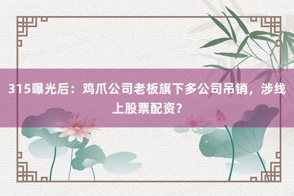 315曝光后：鸡爪公司老板旗下多公司吊销，涉线上股票配资？