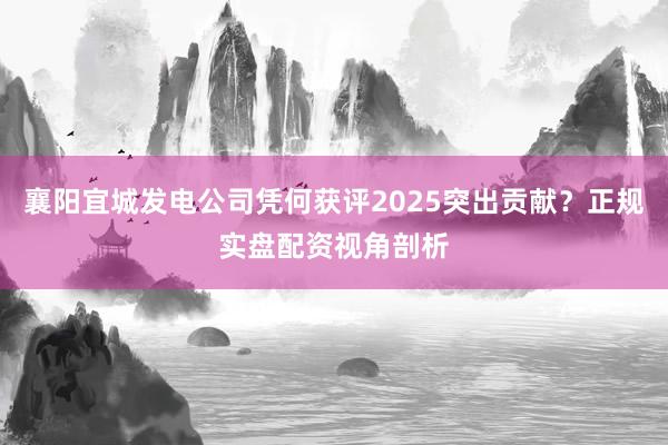 襄阳宜城发电公司凭何获评2025突出贡献？正规实盘配资视角剖析