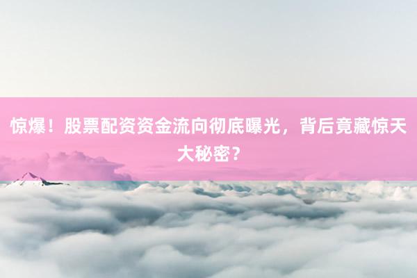 惊爆！股票配资资金流向彻底曝光，背后竟藏惊天大秘密？