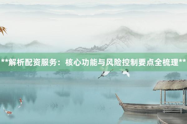 **解析配资服务：核心功能与风险控制要点全梳理**