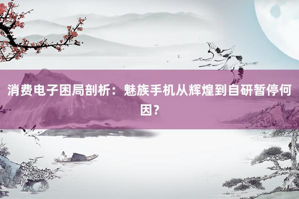 消费电子困局剖析：魅族手机从辉煌到自研暂停何因？