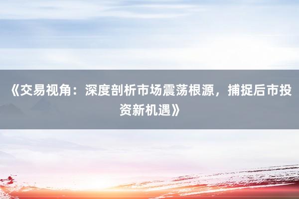《交易视角：深度剖析市场震荡根源，捕捉后市投资新机遇》