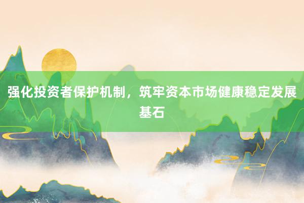 强化投资者保护机制，筑牢资本市场健康稳定发展基石