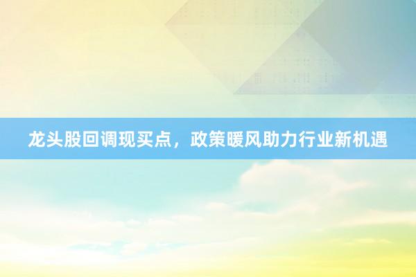 龙头股回调现买点，政策暖风助力行业新机遇