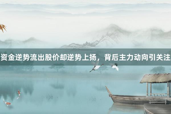 资金逆势流出股价却逆势上扬，背后主力动向引关注