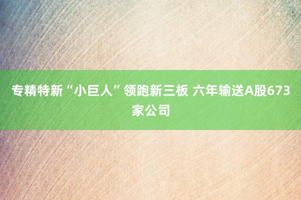 专精特新“小巨人”领跑新三板 六年输送A股673家公司
