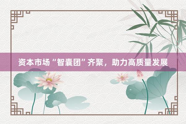 资本市场“智囊团”齐聚，助力高质量发展
