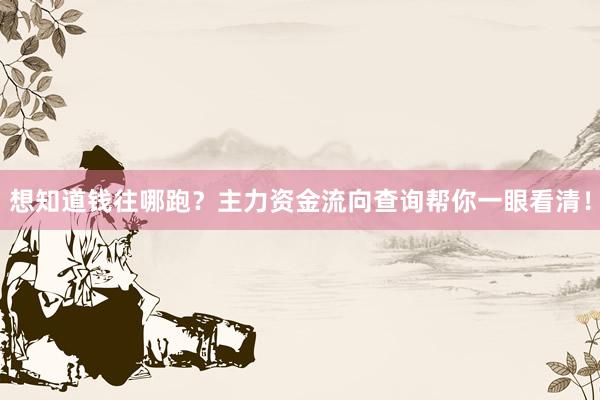 想知道钱往哪跑？主力资金流向查询帮你一眼看清！