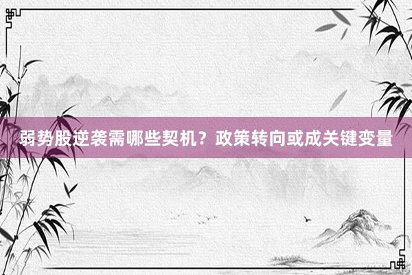 弱势股逆袭需哪些契机？政策转向或成关键变量