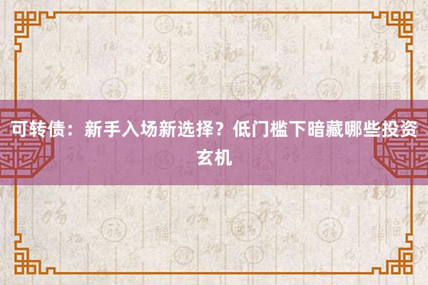 可转债：新手入场新选择？低门槛下暗藏哪些投资玄机