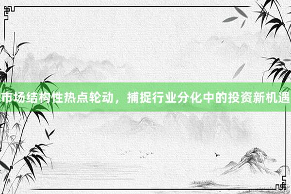 市场结构性热点轮动，捕捉行业分化中的投资新机遇