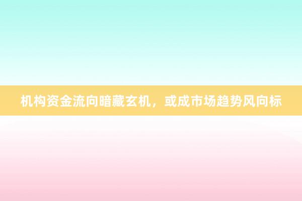 机构资金流向暗藏玄机，或成市场趋势风向标