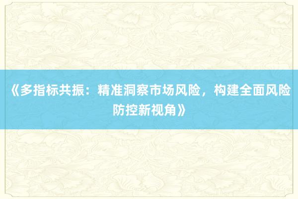《多指标共振：精准洞察市场风险，构建全面风险防控新视角》