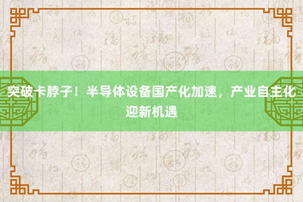 突破卡脖子！半导体设备国产化加速，产业自主化迎新机遇