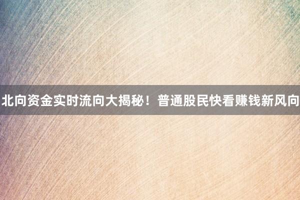 北向资金实时流向大揭秘！普通股民快看赚钱新风向