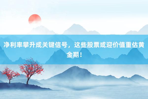 净利率攀升成关键信号，这些股票或迎价值重估黄金期！