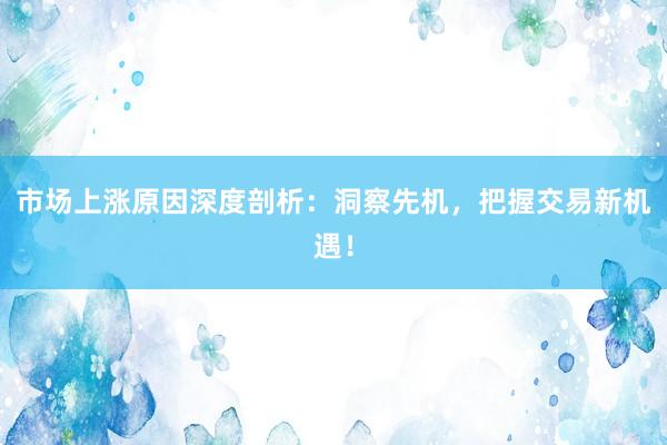 市场上涨原因深度剖析：洞察先机，把握交易新机遇！