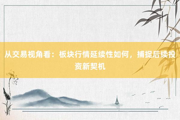 从交易视角看：板块行情延续性如何，捕捉后续投资新契机