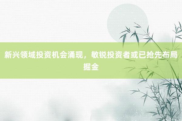 新兴领域投资机会涌现，敏锐投资者或已抢先布局掘金