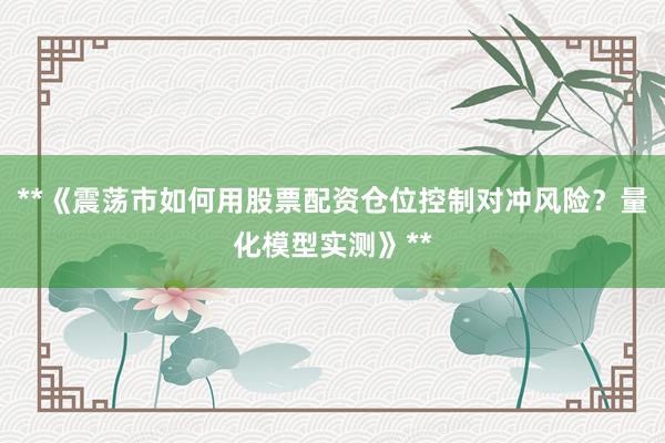 **《震荡市如何用股票配资仓位控制对冲风险？量化模型实测》**